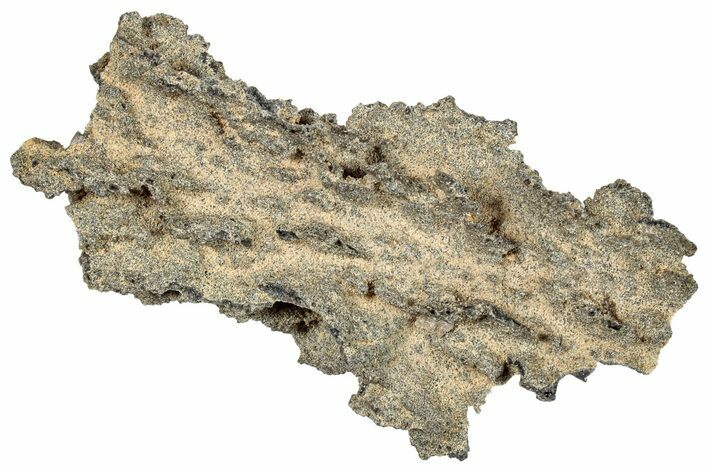 Fulgurite - Petrified Lightning #290510